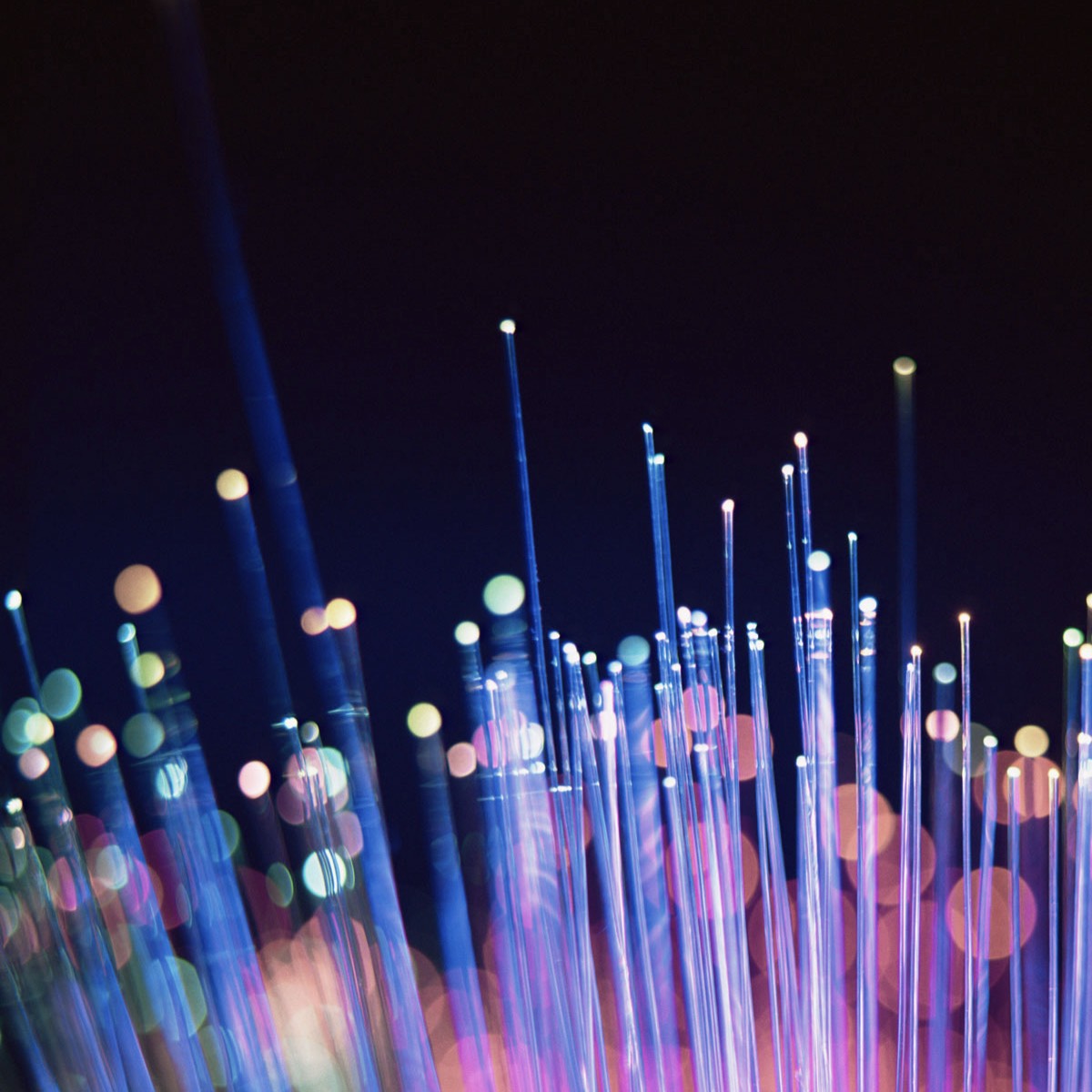 quienes somos intecba